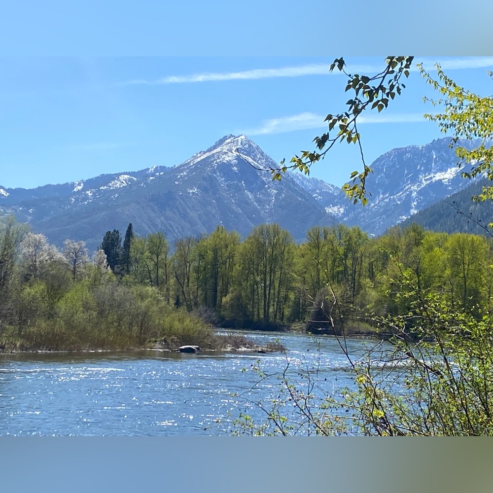 Meet your Posher, Susie